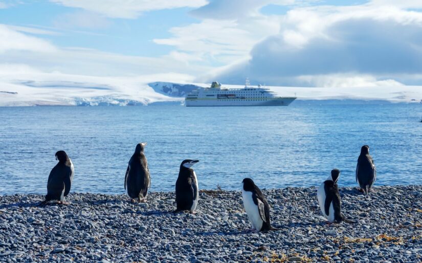 MS HAMBURG Antarktis Kreuzfahrt, Half Moon Island mit Pinguinen, zu TV-Serie – Das ist ja VERRÜCKT! MS HAMBURG das "Kleine Kreuzfahrtschiff" der bekannten Fernsehserie. Auf den Spuren der TV-Serie. Wir bieten Ihnen die Kreuzfahrten aus der Fernsehserie zum Buchen an!