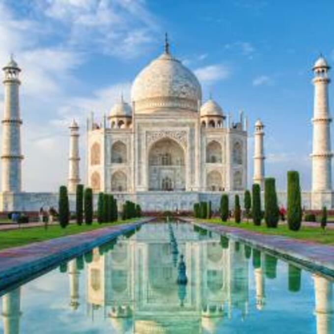 Tiger, Tempel, Taj Mahal