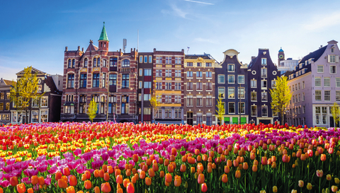 Erleben Sie die Tulpenblüte in Holland zur schönsten Zeit!