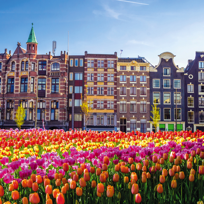 Erleben Sie die Tulpenblüte in Holland zur schönsten Zeit!