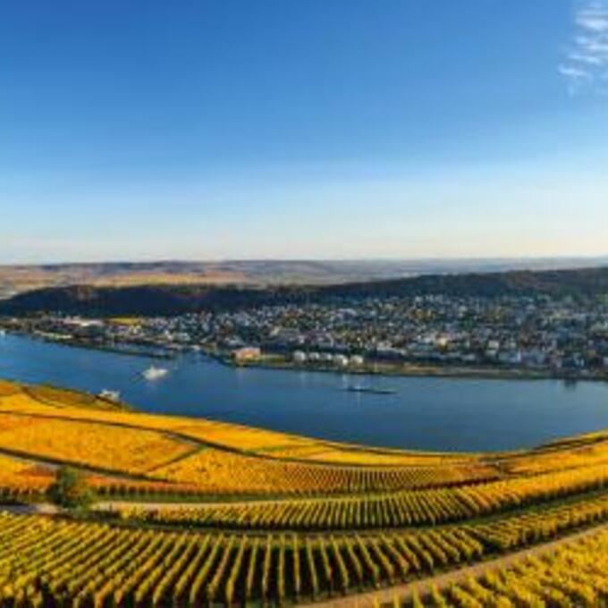 Die Welt der Rhein-Weine