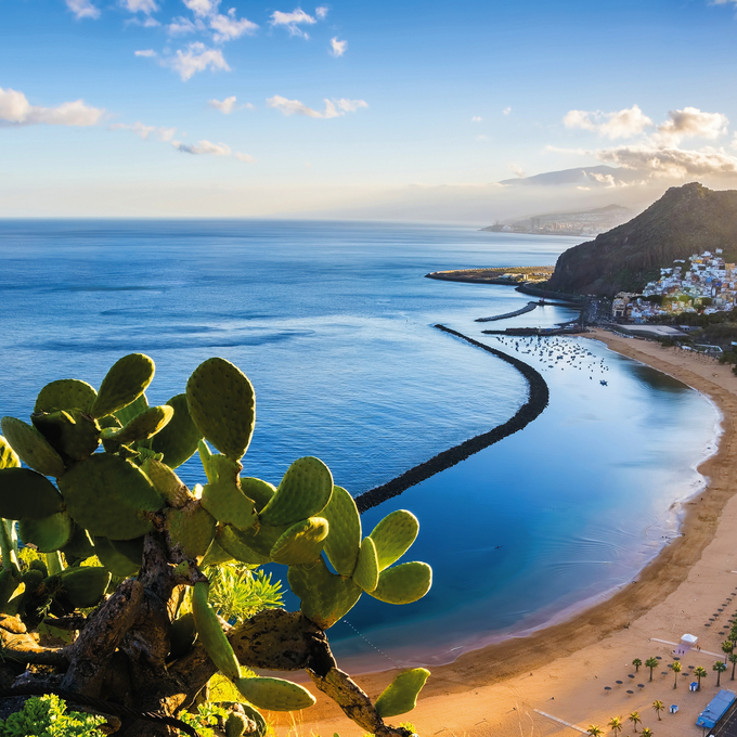 Towards spring to the Canary Islands and Cape Verde
