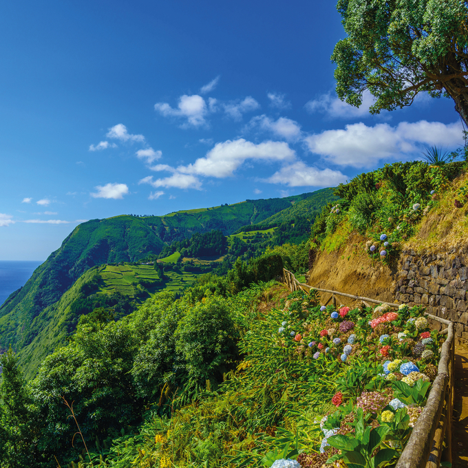 Azores intense – to Hamburg