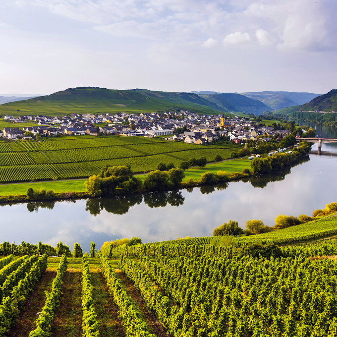 From canals to vineyards: Holland, Belgium & the Moselle