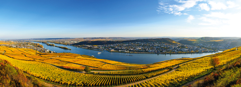 Fine wines & gentle waves: wine cruise on the Moselle