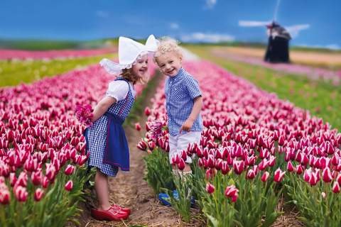 Frühlingserwachen in Holland – dem Land der Tulpen