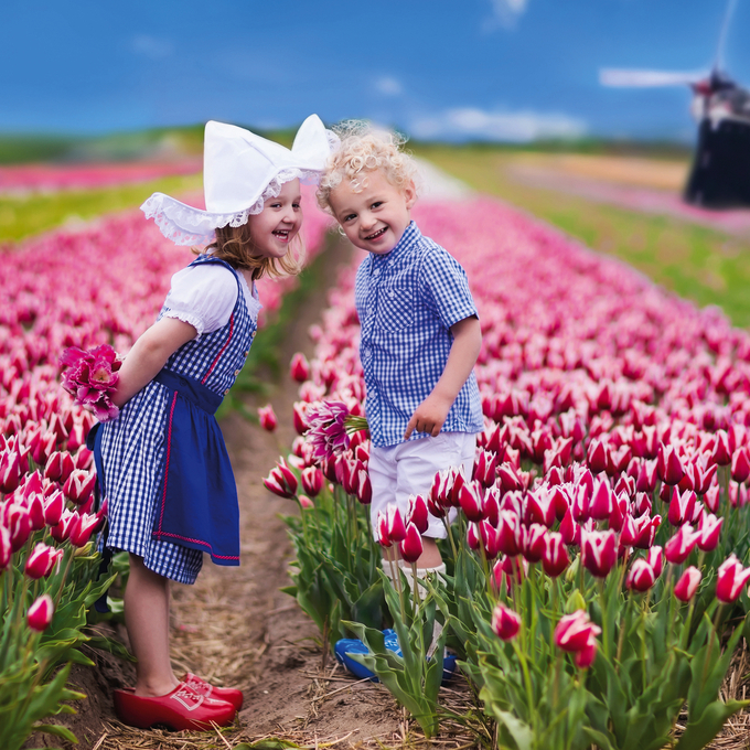 Frühlingserwachen in Holland – dem Land der Tulpen