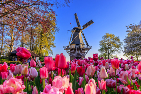 Amsterdam & das IJsselmeer zur Tulpenzeit