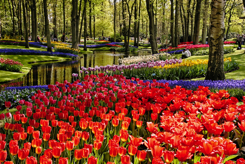 Ostern im Farbenmeer der Tulpen
