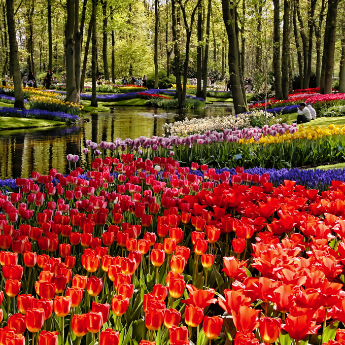 Ostern im Farbenmeer der Tulpen