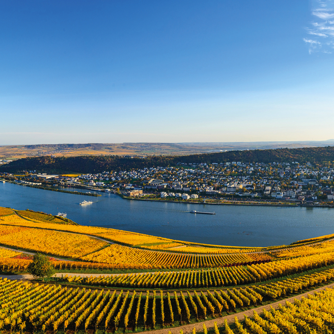 Rhein kompakt – Schnupperkreuzfahrt