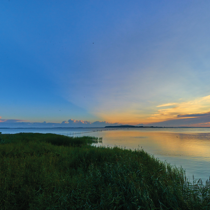 Amazonas des Nordens – die Peene