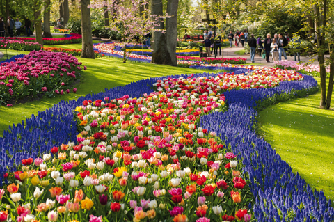 Tulpenzauber und Keukenhof erleben