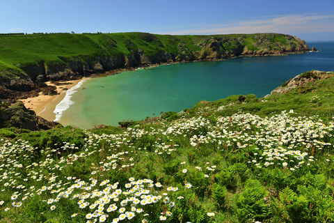 The Channel Islands in Summer Light