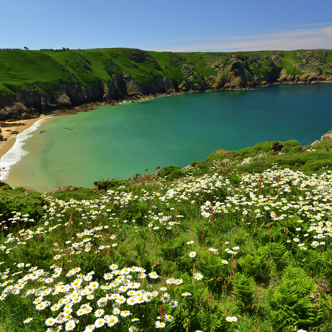 The Channel Islands in Summer Light