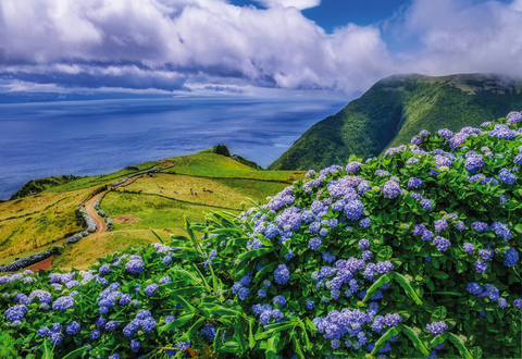 Off to Hamburg: the Caribbean, Bermuda, the Azores
